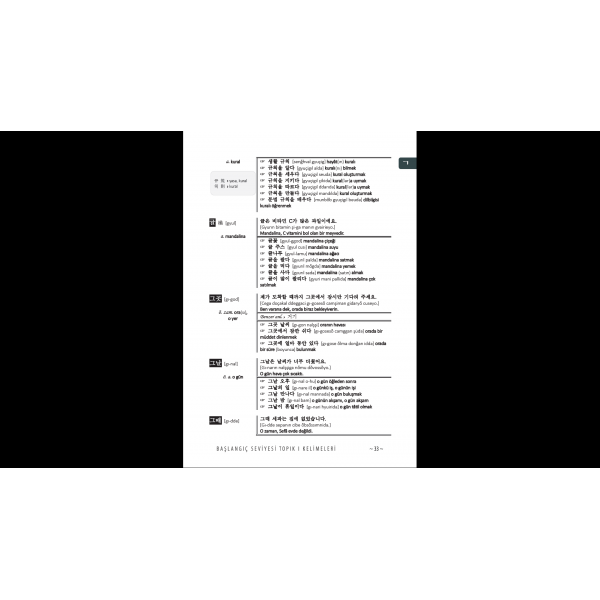 Korece Kelime Kitabı - Başlangıç Seviyesi TOPIK Kelimeleri (Seviye 2)