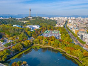 Daegu: Kore'nin Enerji Dolu Şehri