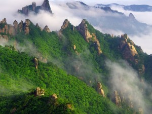 Kore'nin Zirveleri: Ünlü Dağlar ve Keşfedilmeye Değer Aktiviteler